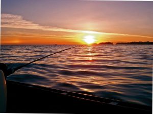 The Art of Fishing … In The Future