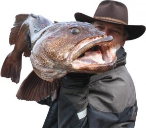 Forecasting and Guestimating the 2016 Salmon Run!