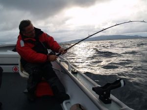 Halibut action