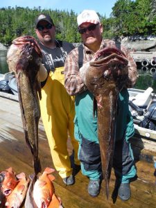 Double Decade Celebration for Steve and Doug Price