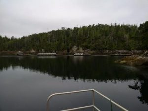 Docks Arriving