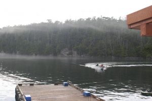 Ernesto and The Tyee