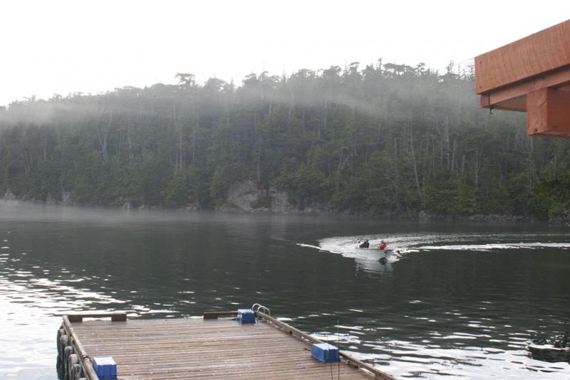 Ernesto and The Tyee