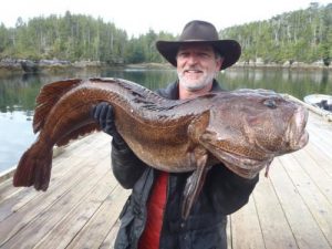 Ling Cod Derby Leader