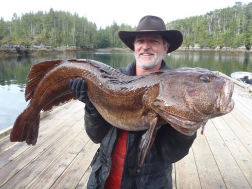 Ling Cod Derby Leader