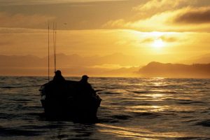 NASA Confirms the Pacific ‘warm blob’ has Disappeared