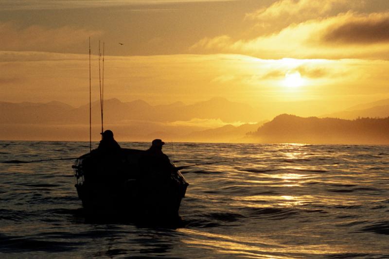 NASA Confirms the Pacific ‘warm blob’ has Disappeared