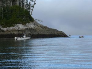 A Honey Of A Fishing Year