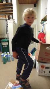 Box Crusher Extraordinaire